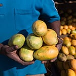 Lean belly juice ingredients african-mango
